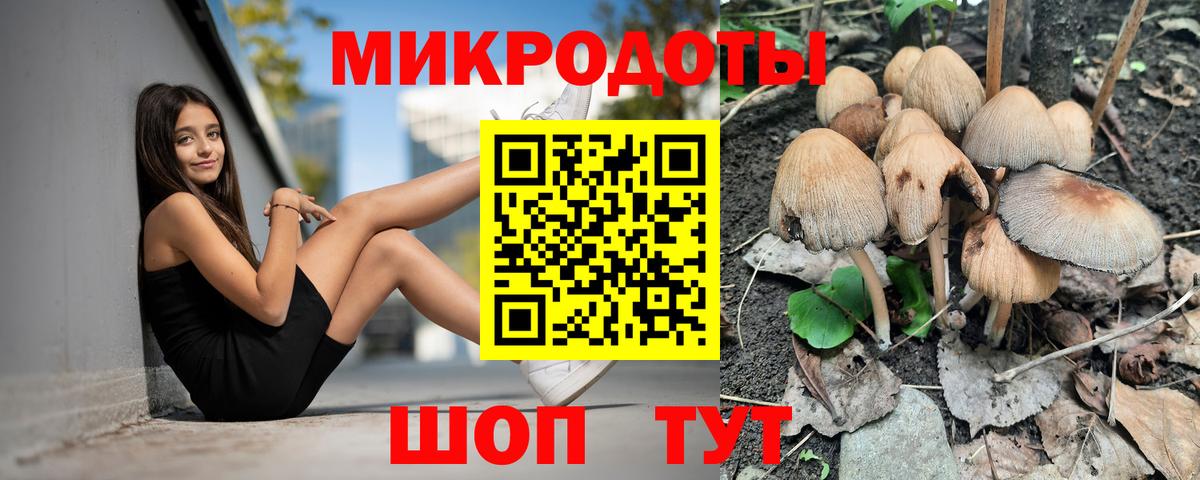 Омск  Псилоцибиновые грибы прущие грибы  Вход с VPN  Галлюциногенные грибы Psilocybe 